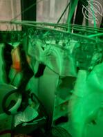 扫楼碰到的好货，贼香0