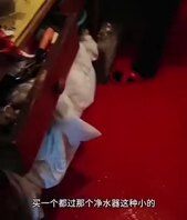 母子禁忌