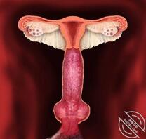 乱伦怀孕要生下来吗？