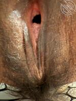 和骚屄婊子老婆妈妈的肏屄生活