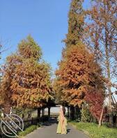 骚母狗户外露出2