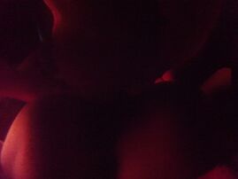 近距离拍摄流莺