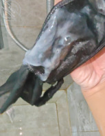 小姨的蕾丝花边绑绳内裤0