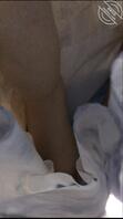 抄底美女同事2