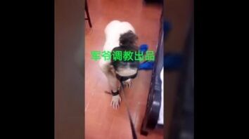 乌鲁木齐调教下贱人妻母狗。