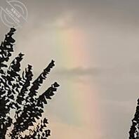 想问问大家上姐姐有没有好的办法0