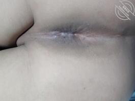 只有菊花没有小鸡