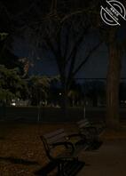 沈阳有没有喜欢露出，想要野战渴望刺激的1