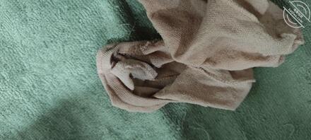 春节晚会结束女B小姐姐给的新鲜原味1