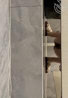 安全起见先删帖啦 1