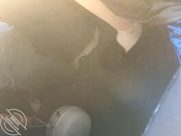 扫楼打胶火车小皮鞋0