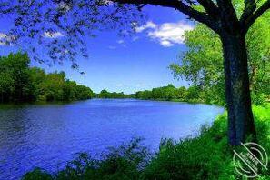 江浙沪有真实贡献妈妈的没，真实贡献5位数，要真实的，不真实的不要浪费时间0