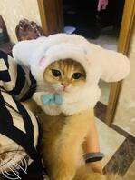 高中生小姐姐加加我联系方式，聊聊啊1