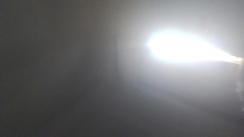 喜欢被后入的小母狗露脸（原创）