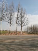 嘉祥附近找一女性朋友