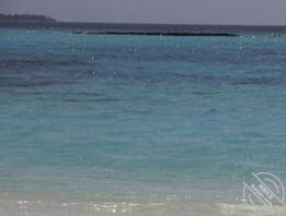 沉迷于妈妈无法自拔