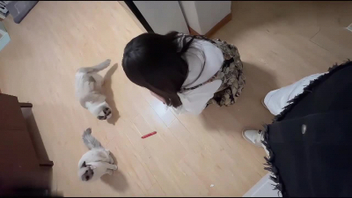 养只猫妹子就来了被后入插的完全受不了高潮抖臀收缩第二部