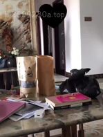 爸妈一不在家，妹妹就忍不住了