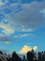 昆明寻找专业偷拍厕拍大神偷拍0