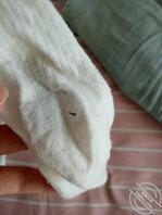 亲姐的原味棉袜