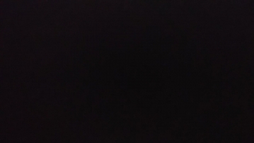 初入茅庐的盲流