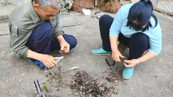 自从看了海角，我对我的农村老妈感觉精虫上脑，好想强奸我妈