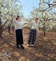 熟女婶婶，风韵犹存2