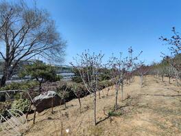 郑大一附院南区 高速路旁 野战好地方0