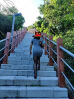 精品臀腿黑丝，早起的鸟儿有虫吃2