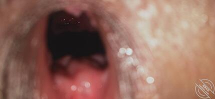 母狗的小骚逼有喜欢的吗