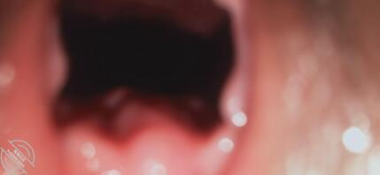 母狗的小骚逼有喜欢的吗1