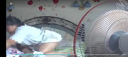 我的大屁股侄女2