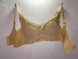 小骚逼的骚内衣裤2