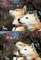 有秦皇岛少妇熟妇的老哥进2