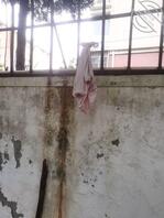 谁的内裤挂在这里没人收走2